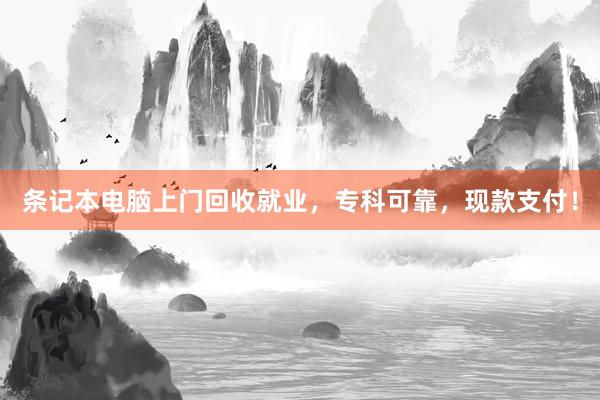 条记本电脑上门回收就业，专科可靠，现款支付！