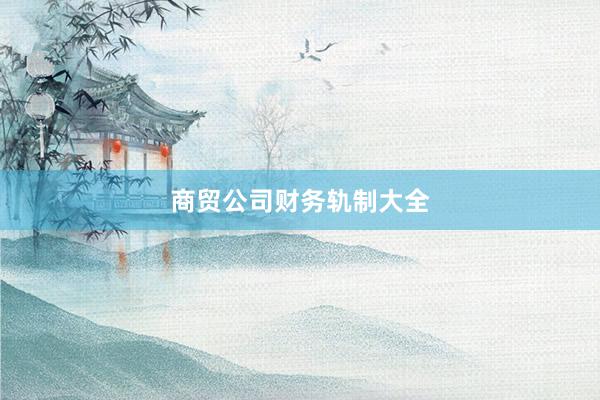 商贸公司财务轨制大全
