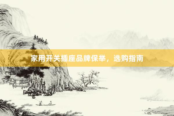 家用开关插座品牌保举，选购指南